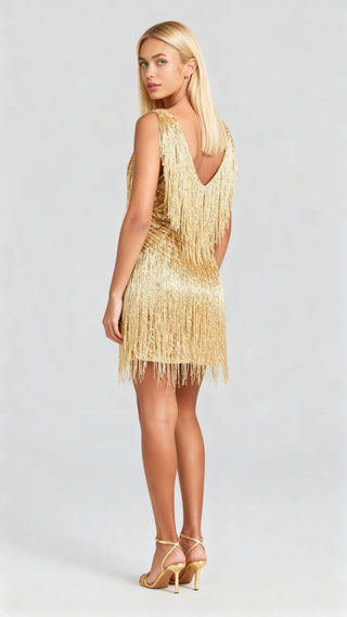 Valentina Shimmer Fringe Dress